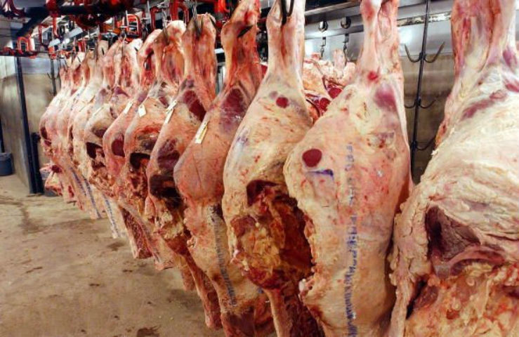 carne stricata