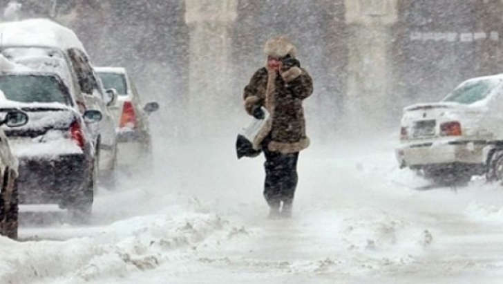 viscol-si-ninsori-in-Prahova-29-ianuarie-2014
