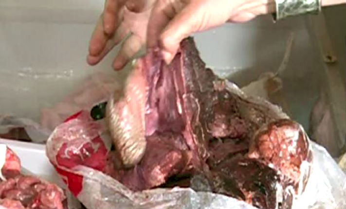 carne-expirata