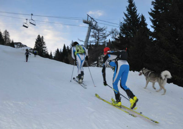 Mountain Assault Sinaia 2016