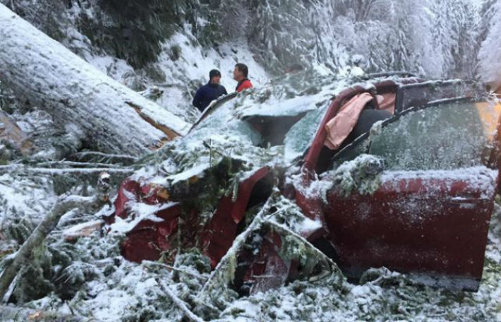 accident masina copac iarna