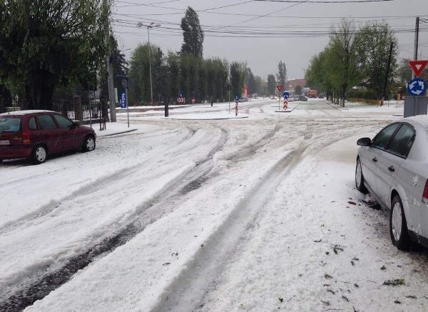Campina ca iarna (MEDIAFAX)