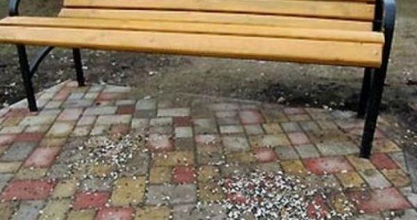 coji seminte pe domeniul public