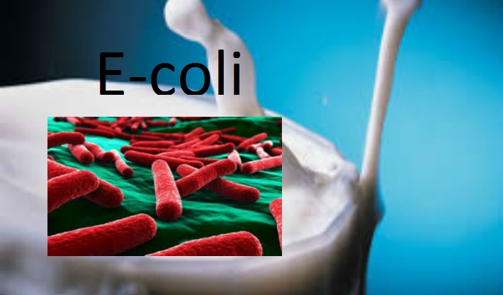 lapte cu E-Coli in Prahova