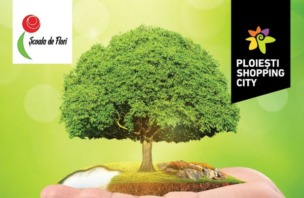 Ploiesti Shopping City Scoala de Flori