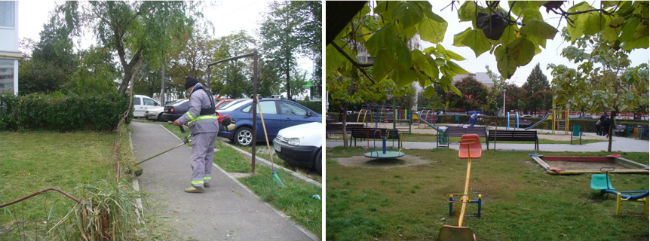 salubrizare Ploiesti