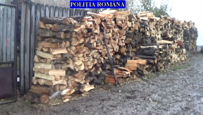 taieri ilegale lemne Prahova