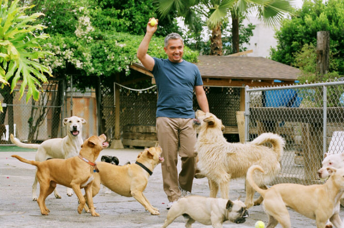 Cesar_Millan