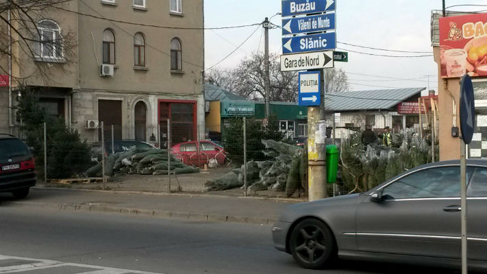 brazi Ploiesti