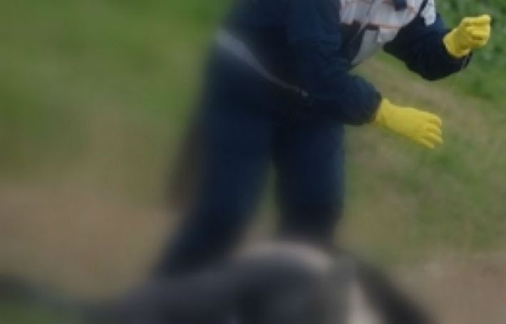 cadavru