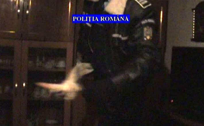 perchezitii Valeni