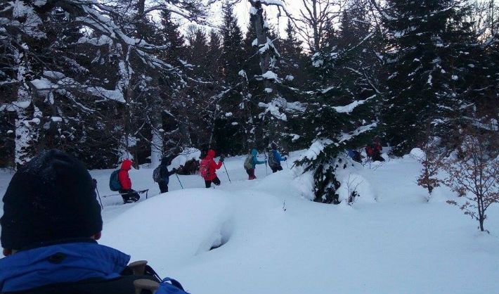 turisti rataciti Azuga