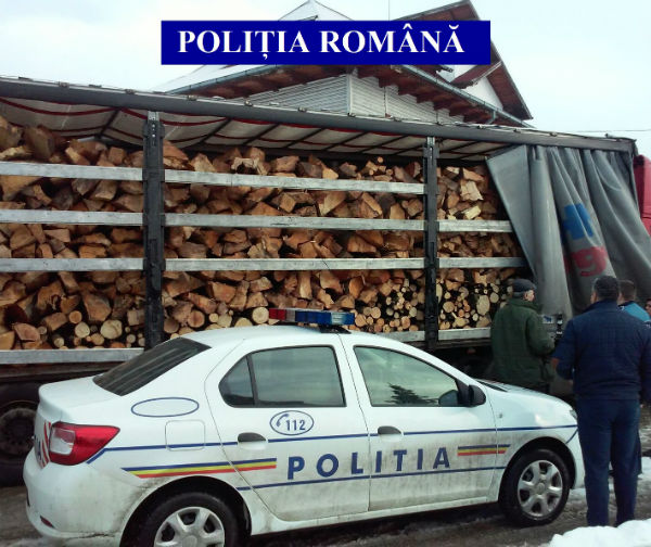 furt lemne Dambovita