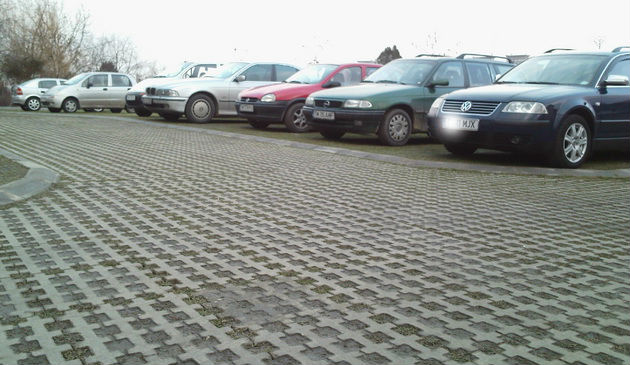 parcare_inierbata