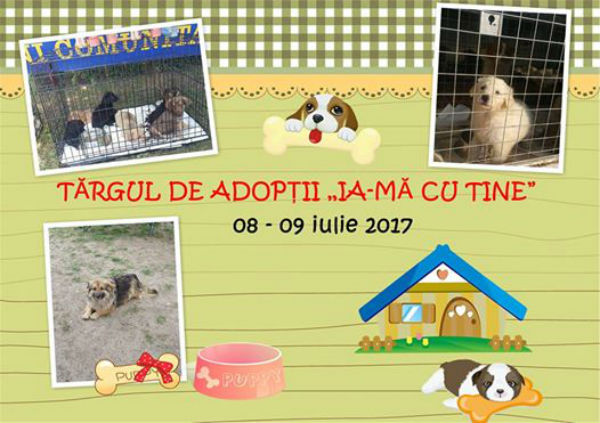 targ adoptii caini Ploiesti