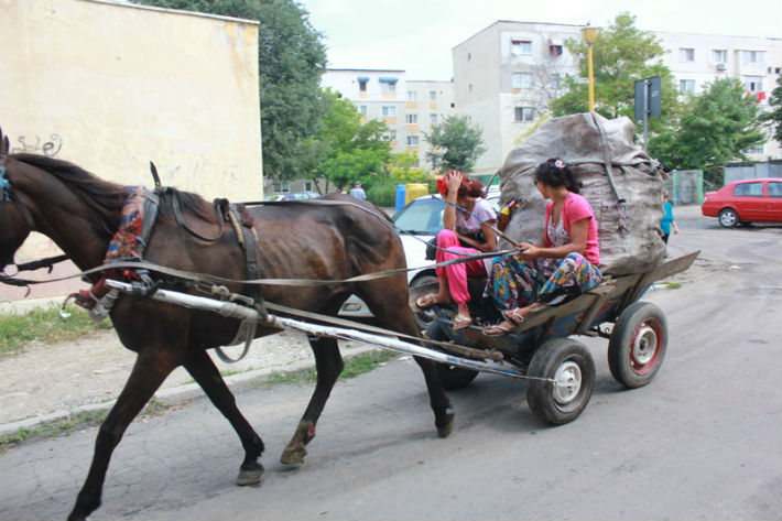 gunoaie reciclabile in caruta