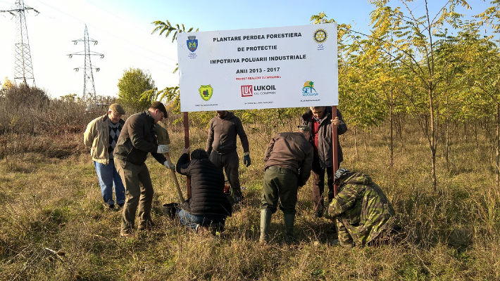 Rotary Ploiesti planteaza 2017 (5)