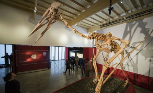 Dracula Flugsaurier Ausstellung Credit Axel Schmidt_DinosaurierMuseum Altmühltal (2)