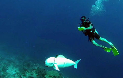 sofi fish robot MIT
